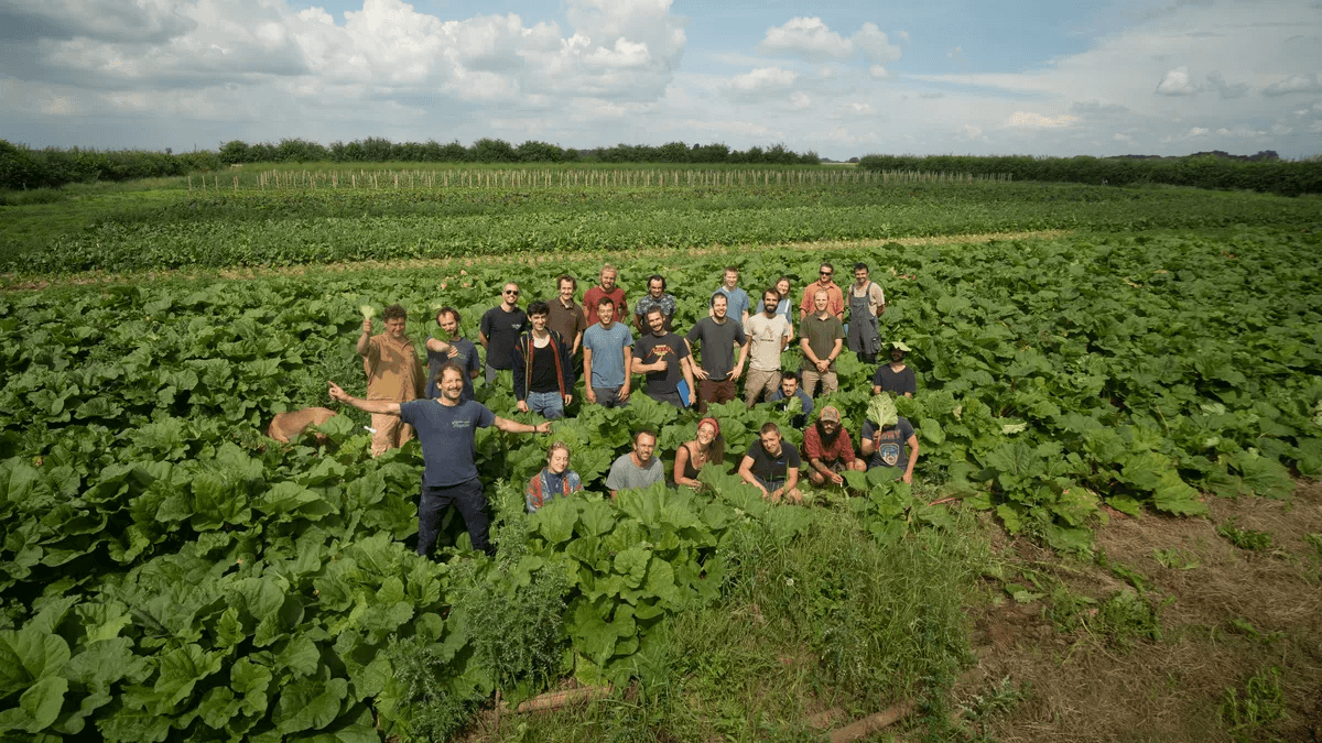 Avec qui travaillons-nous ?